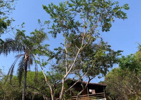 Guape House | Casa Madeira em Santo hilario