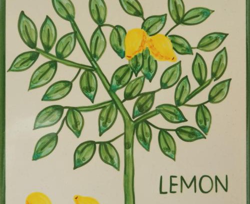 Funchal Apartment | Casa Monte Cristo Apartments - Lemon