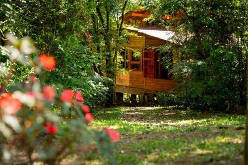 Lapa House | Casa na Mata