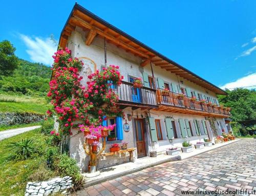 Pedavena Apartment | Casa nella Natura Il Risveglio degli Elfi