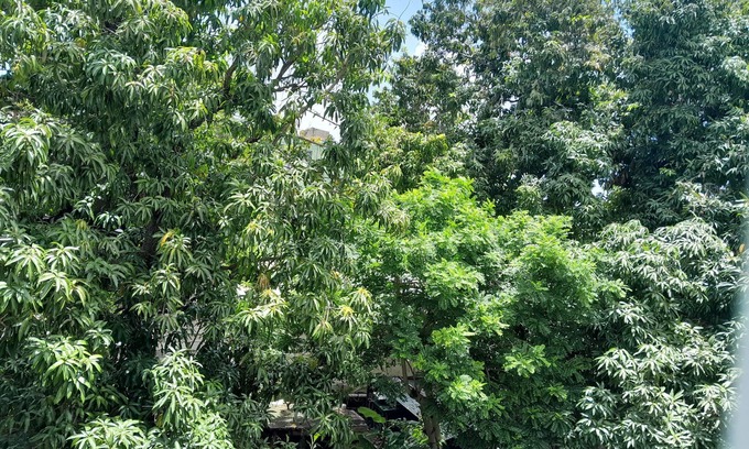 Holguin Bed & Breakfast | Casa Oscar