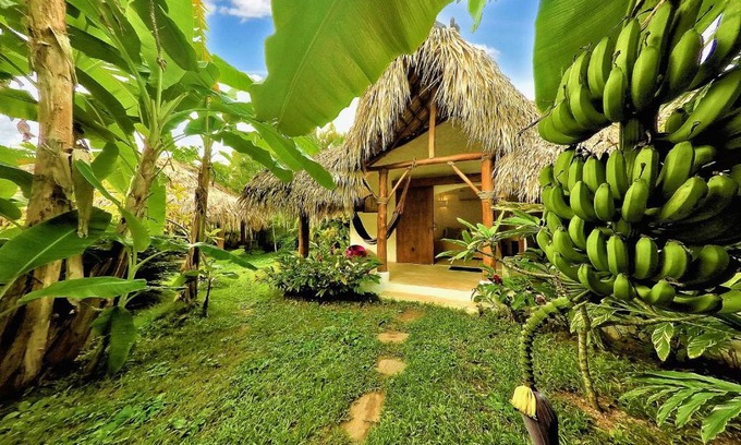 La Iglesia Bed & Breakfast | Casa Picaflor