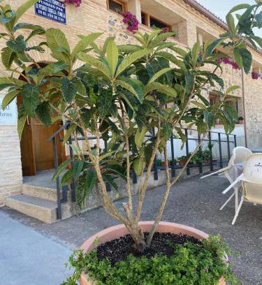 Torrellas House | Casa Rural Hospital de las Palabras
