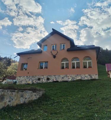 Dambovicioara House | Casa Sara