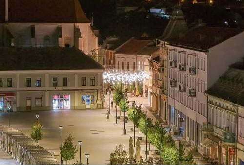 Turda Apartment | Casa Thaja Centru