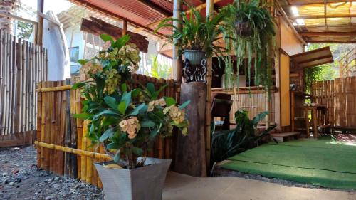 Ayampe Apartment | Casa travesia