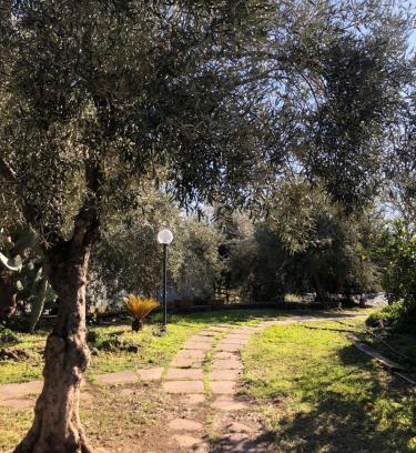 Paterno House | Casa Vacanza L'ulivo