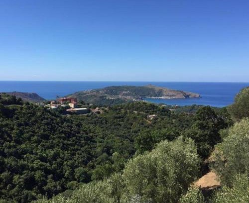 Centola House | Casa Vacanze Domus