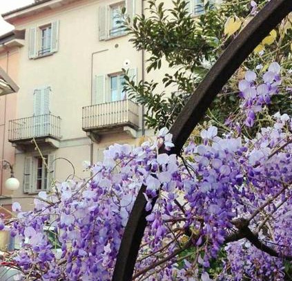 Intra Apartment | Casa Vacanze Stella
