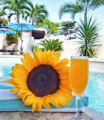Puntas Hotel | Casa Verde Hotel - Steps to the Beach, Pool, Restaurant & Bar