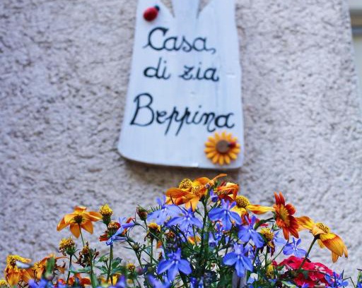 Camaiore House | Casa zia Beppina
