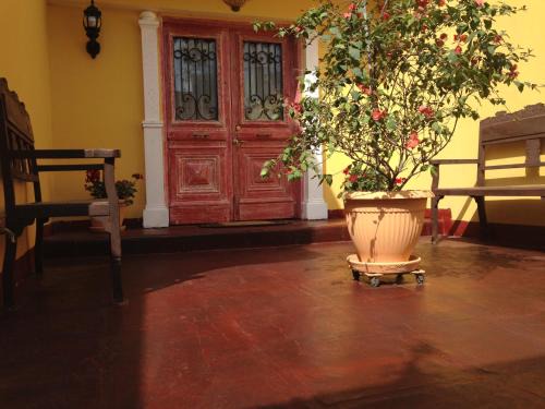San Miguel House | Casablanca Hotel Boutique