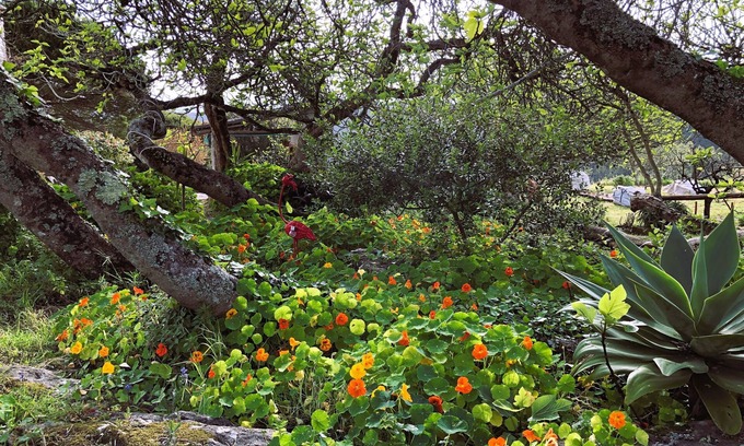 Reguengo Grande Bed & Breakfast | Casal da Serrana