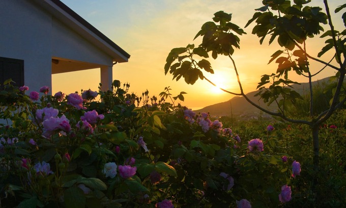 Castellabate House | Casale Dionisia, Iris Apartment: very cozy, quiet and scenic