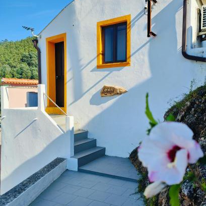 Penacova House | Casinha da Ladeira 3360