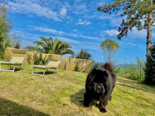 Montelaguardia House | Casolare del Maestrale - M&M Holiday House