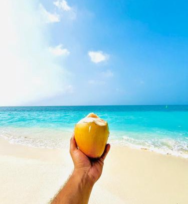 Agatti Island House | Castaway Inn