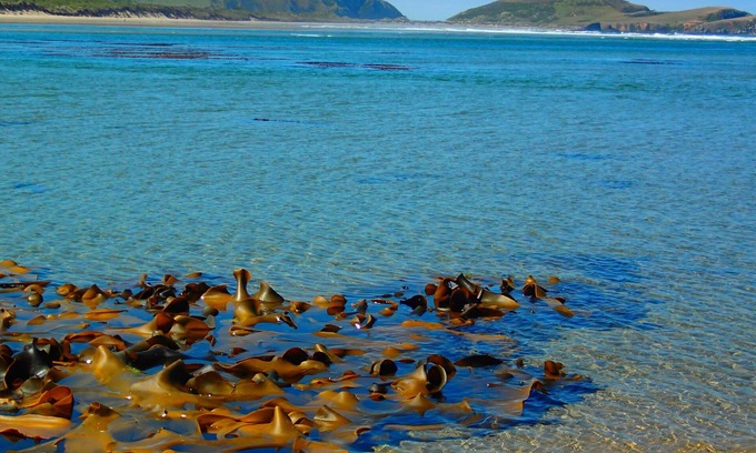 New Haven Other | Catlins Newhaven Holiday Park