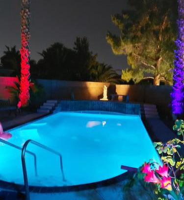 Paradise House | CATmosphere 2