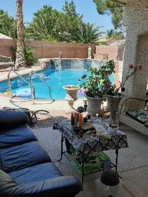 Paradise House | CATmosphere