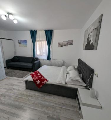 Campulung Moldovenesc House | Cazare La Piatra Buhei