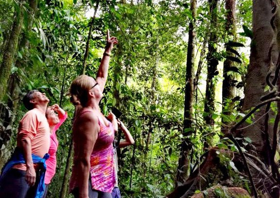 Vieja Cabin | Cecropia Ecolodge