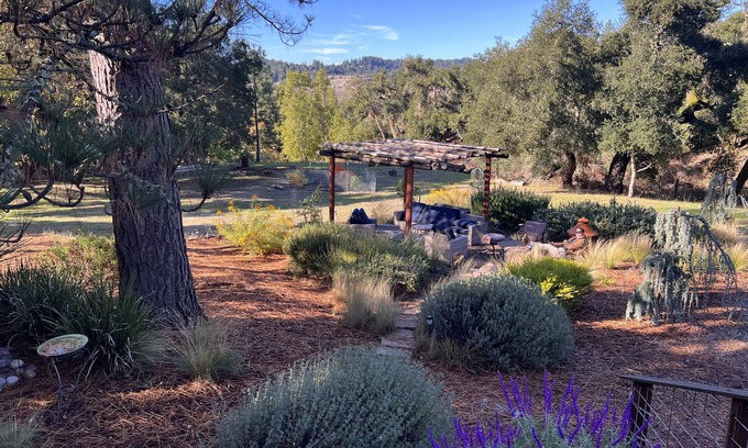 Ben Lomond House | Central Coast , Meadow, Great Roads, Wildlife, Hot-Tub, Polite Pets Welcome
