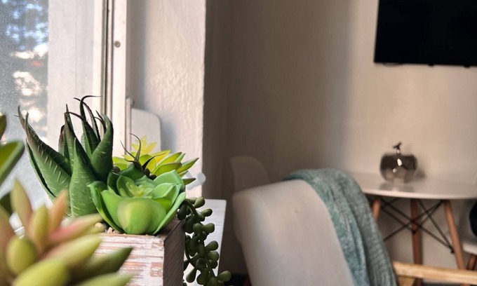 South Beach Apartment | Central Del Rio South Beach