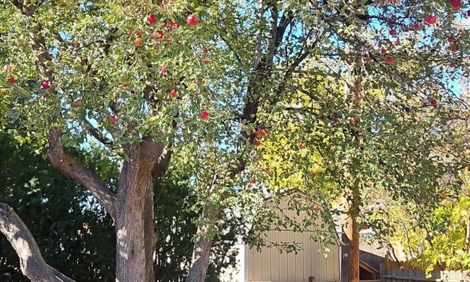 Idaho Falls House | Central Syringa Sanctuary in Idaho falls