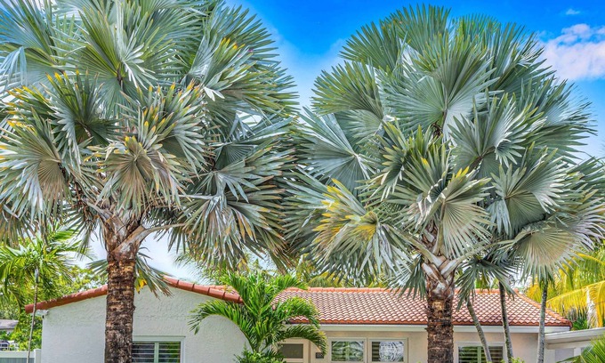 South New River Isles House | Centrally located | Heated Pool | Riverside View & Access | Citrus Key | H0MES