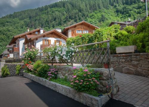 Mezzana Apartment | Centro Appartamenti Vacanze