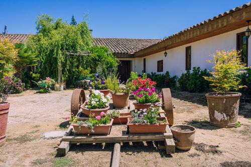 Paredones House | Centro Campestre Pequeño Faisán