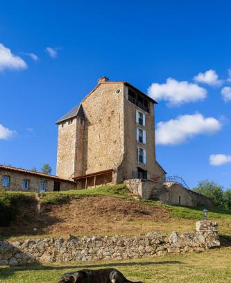 Montegut Bed & Breakfast | Château Montegut Hebergement atypique batiments exterieurs en renovation