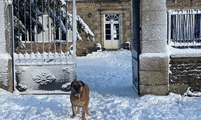 Saint-Cyr-en-Pail Other | Château pour groupe