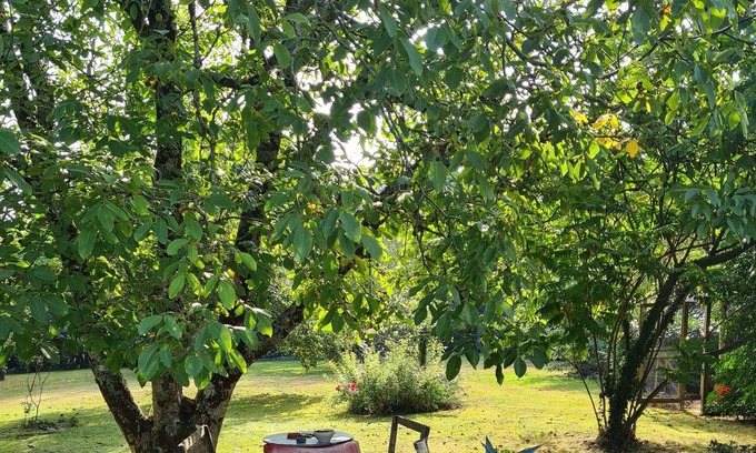 Theix-Noyalo House | Chagall room in a quiet farmhouse