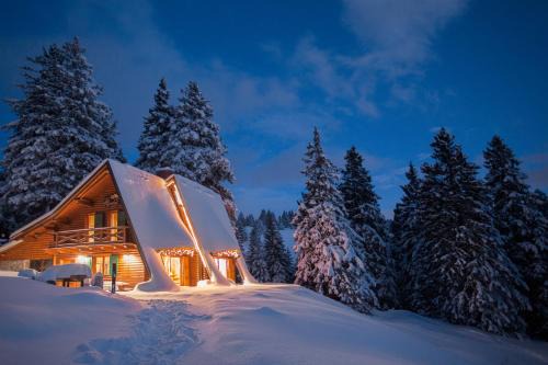 Ambroz pod Krvavcem Ski Chalet | Chalet Alpinka