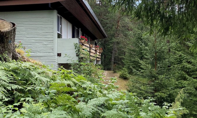 Borca di Cadore Ski Chalet | Chalet in the enchanted forest