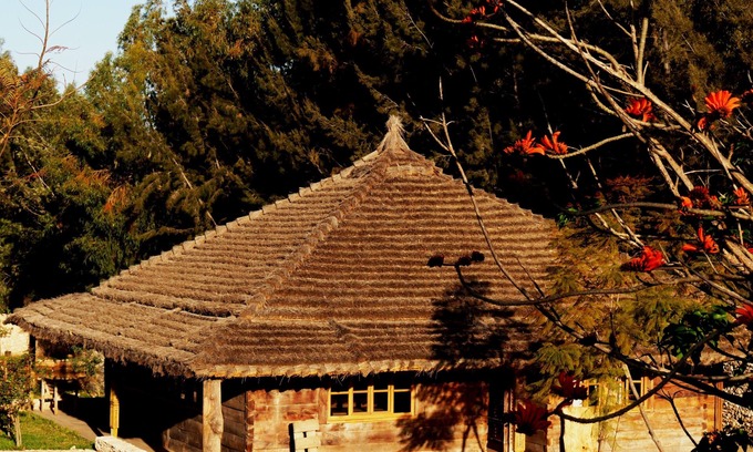 Essaouira House | Chalet Mimosa Roumanie.