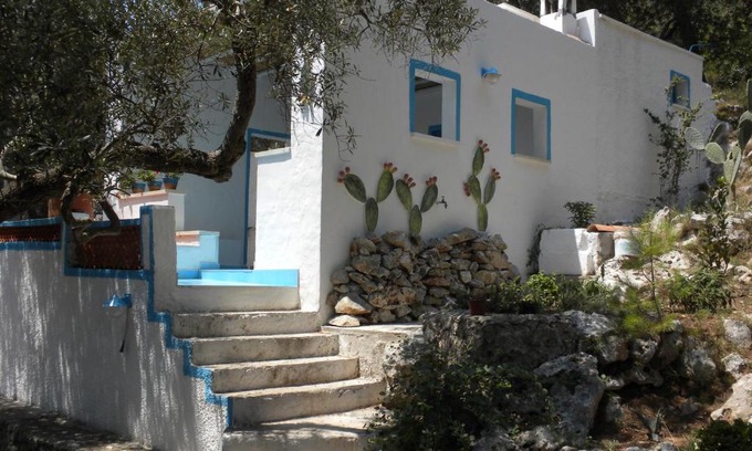 Marina di Marittima Ski Chalet | Chalet pagghiara