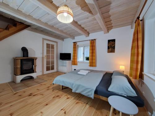 Hnevkovice House | Chaloupka nad Želivkou