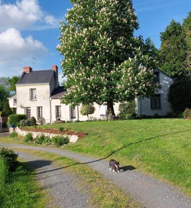 Saumur House | Chambres d'Hôtes de l'Ile du Saule