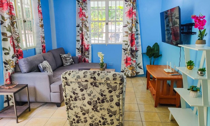Roseau House | Charming 2-bedroom Apartment with WiFi and AC in Upper, Bath Estate.