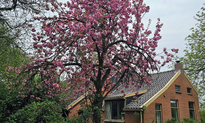 Bellingwolde House | Charming 2-bedroom, petfriendly barn in fabulous Bellingwolde with WiFi