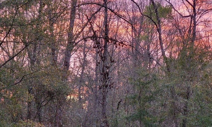 Ruffin House | Charming 2-bedroom home on peaceful bluff overlooking the Edisto River.
