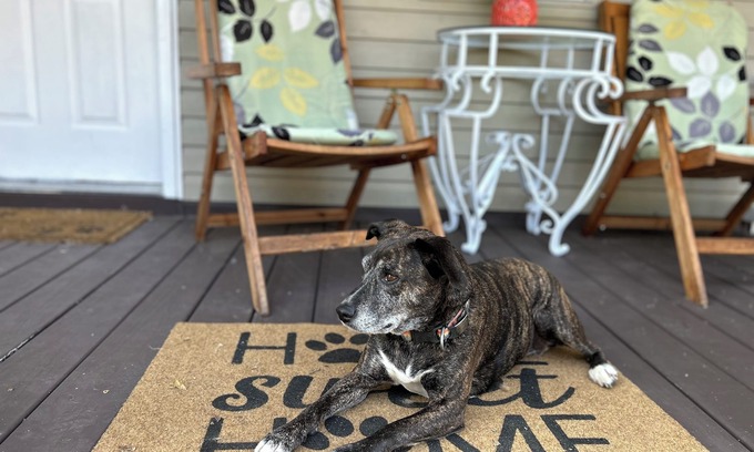 Natchez House | Charming 3-bedroom, pet friendly house in Downtown Natchez