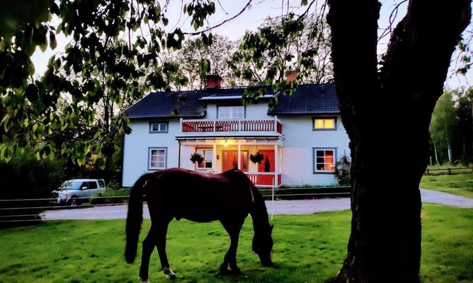 Horndal House | Charming 6 bedroom House & Horse Farm - Sleeps 12