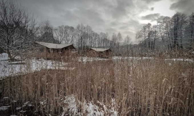 Lubusz Province Ski Chalet | Charming . A Cottage in the Middle of the Woods