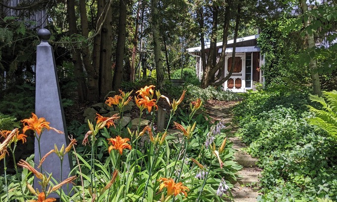 Harwich Cottage | Charming Cottage on Meadowcroft Estate - A Birders Paradise Nestled in the Woods