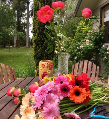 Rolleston House | Charming Country Paradise