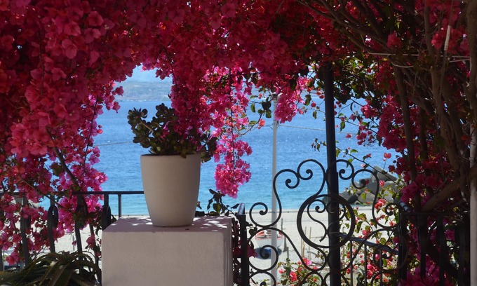 Capo Peloro Apartment | Charming fully equipped appartment on the beach